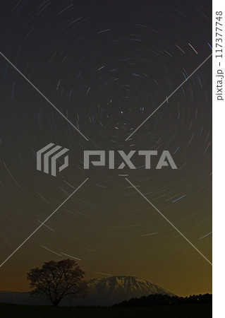 小岩井農場の一本桜と岩手山 星空 小岩井農場の一本桜と岩手山 星空 117377748