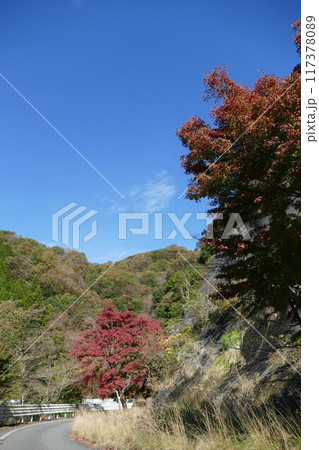 丹沢山塊 117378089