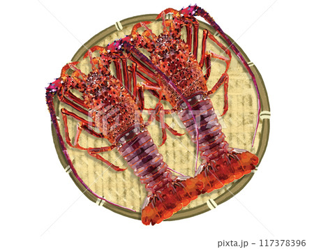 伊勢海老(2尾)ザル付き 伊勢海老(2尾)ザル付き 117378396