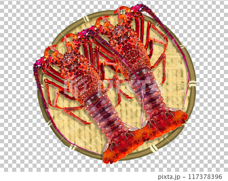 伊勢海老(2尾)ザル付き 伊勢海老(2尾)ザル付き 117378396