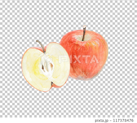 水彩絵の具で描いたりんごのイメージ 117378476