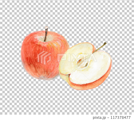 水彩絵の具で描いたりんごのイメージ 117378477