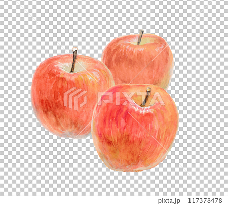 水彩絵の具で描いた三つのりんご 117378478