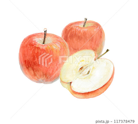 水彩画セット 魚とリンゴ