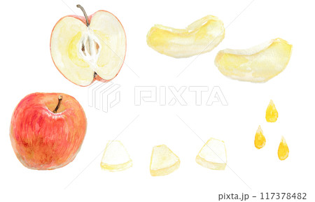水彩絵の具で描いたりんごレシピのイメージ 117378482
