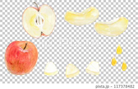 水彩絵の具で描いたりんごレシピのイメージ 117378482