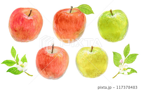 水彩絵の具で描いたいろいろりんごのイメージ 117378483