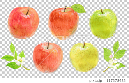 水彩絵の具で描いたいろいろりんごのイメージ 117378483