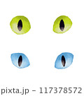 水彩風な猫の目のイラスト 117378572