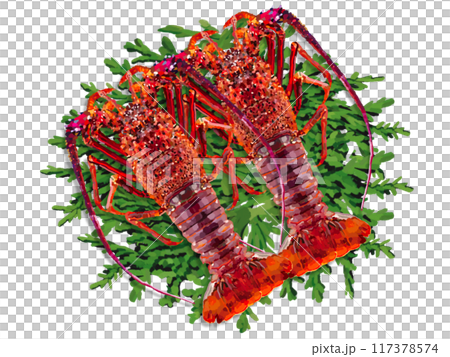 伊勢海老（2尾）ヒノキの葉付き 117378574