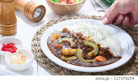 ゴーヤカレー (夏野菜カレー) ゴーヤカレー (夏野菜カレー) 117379204