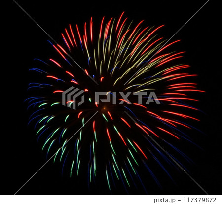 赤と緑で半々の花火 117379872