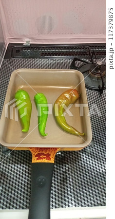 万願寺唐辛子を卵焼き用のフライパンで焼く独身の晩酌のお供 117379875