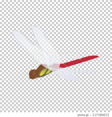 飛ぶ赤トンボのイラスト 117380072