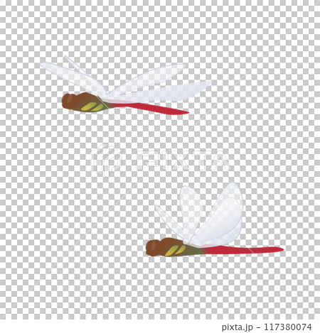 飛んでいる横向きの赤トンボのイラスト 117380074