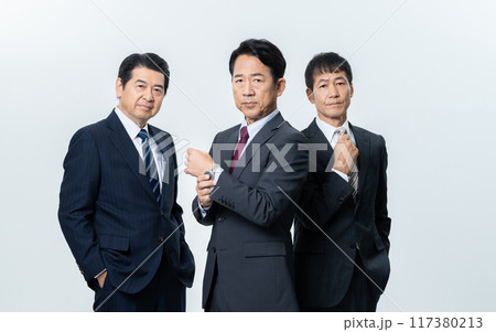 エグゼクティブなビジネスマン 117380213