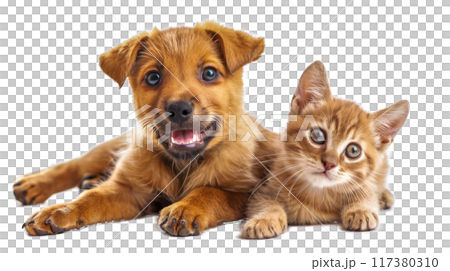 (Background watermark) Innocent puppy and kitten lying down 117380310