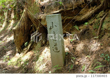 大神神社から檜原神社までの山の辺の道 大神神社から檜原神社までの山の辺の道 117380403