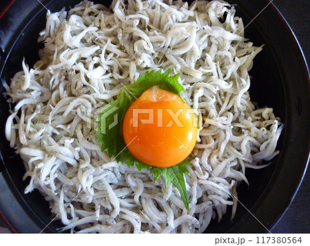 ボリュームたっぷりのしらす丼 ボリュームたっぷりのしらす丼 117380564