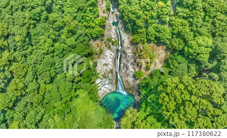 神戸　布引の滝 117380622