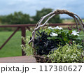 草原にある屋外のテーブルと花 117380627