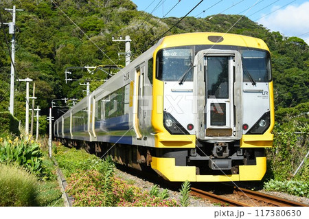 夏の内房線をゆくE257系500番台の特急新宿さざなみ号 夏の内房線をゆくE257系500番台の特急新宿さざなみ号 117380630