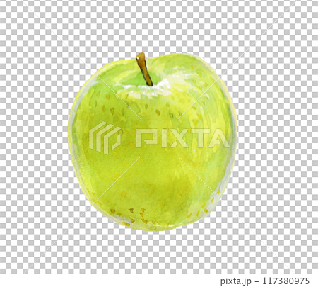Green apple painted with watercolors Green apple painted with watercolors 117380975