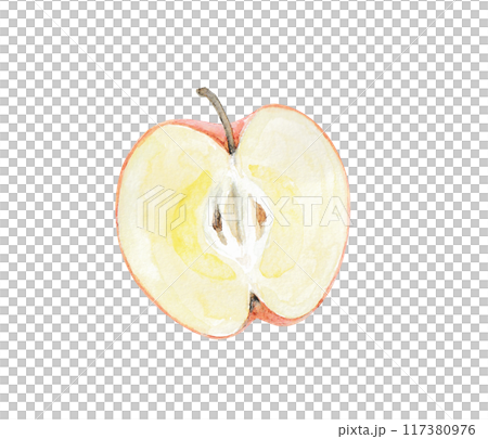Cross-section of an apple drawn with watercolors 117380976