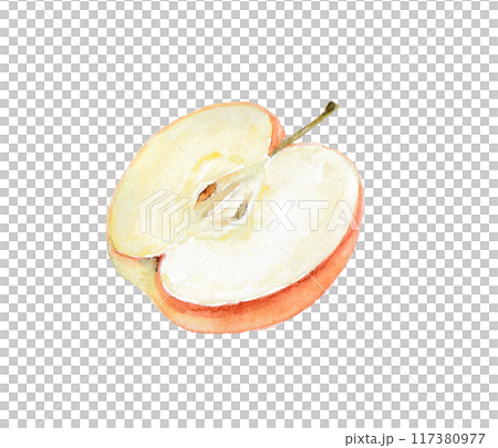 Cross-section of an apple drawn with watercolors Cross-section of an apple drawn with watercolors 117380977