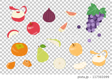 Autumn fruit illustration set Autumn fruit illustration set 117381099