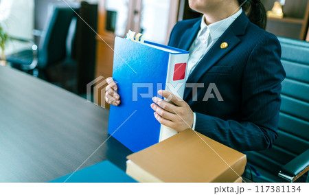 ビジネスイメージ ビジネスイメージ 117381134