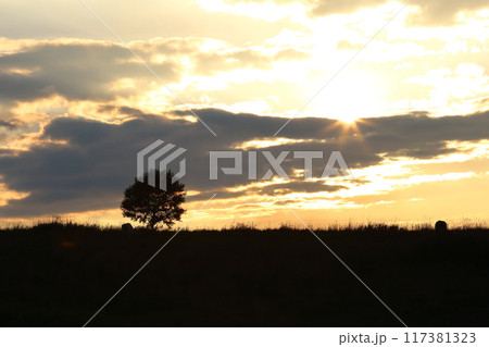 沈む夕日　夕陽の丘 117381323