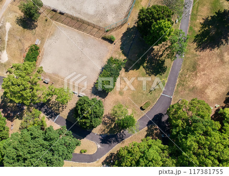 ドローンで空撮した夏の公園の緑の森の風景 ドローンで空撮した夏の公園の緑の森の風景 117381755