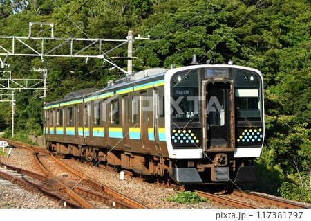 上総一ノ宮へ向けて内房線をゆくE131系 上総一ノ宮へ向けて内房線をゆくE131系 117381797