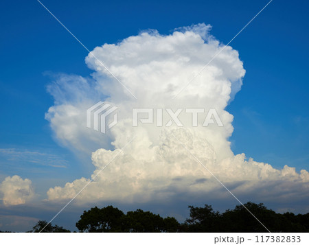 夏の青空と発生中の積乱雲の風景 夏の青空と発生中の積乱雲の風景 117382833