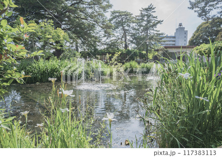 茨城　亀城公園 117383113
