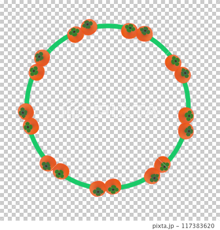 柿の円形飾り枠イラスト 柿の円形飾り枠イラスト 117383620