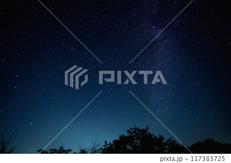 星空:美しい銀河と輝く星々の夜空 星空:美しい銀河と輝く星々の夜空 117383725
