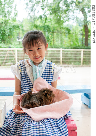 小動物とふれあう女の子 小動物とふれあう女の子 117383802