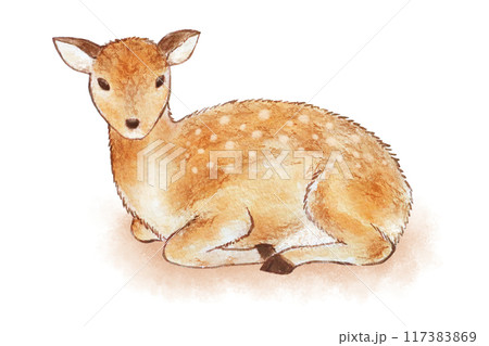 鹿のイラスト素材 [117383869] - PIXTA