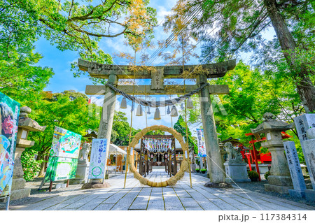 夏の琴崎八幡宮 風鈴祭り 山口県宇部市 夏の琴崎八幡宮 風鈴祭り 山口県宇部市 117384314
