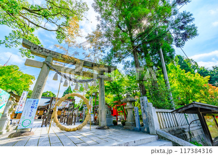 夏の琴崎八幡宮 風鈴祭り 山口県宇部市 夏の琴崎八幡宮 風鈴祭り 山口県宇部市 117384316