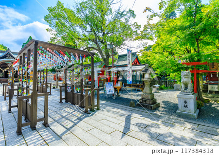 夏の琴崎八幡宮 風鈴祭り 山口県宇部市 夏の琴崎八幡宮 風鈴祭り 山口県宇部市 117384318