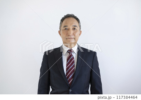 カメラ目線の60代のビジネスマン カメラ目線の60代のビジネスマン 117384464