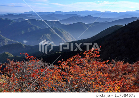 秋の紀伊山地 117384675