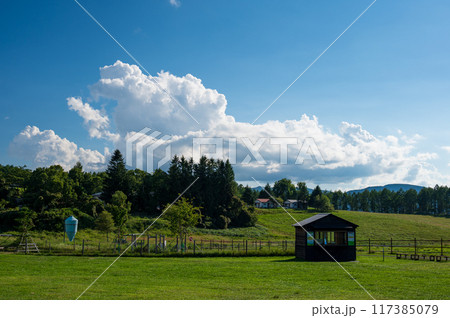 長門牧場　夏の雲が浮かぶ空 117385079