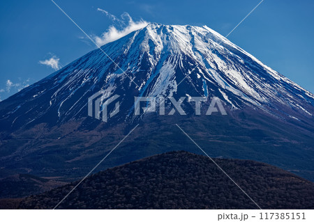精進湖湖畔から見る富士山 精進湖湖畔から見る富士山 117385151