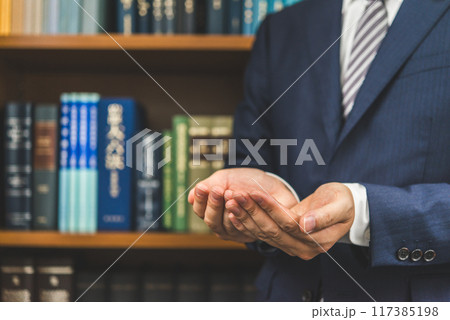 ビジネスイメージ ビジネスイメージ 117385198