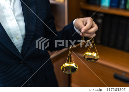 ビジネスイメージ 117385205