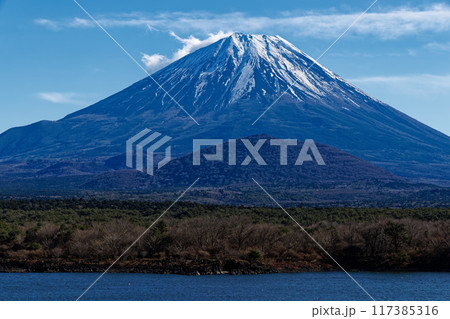 精進湖湖畔から見る冬の富士山 精進湖湖畔から見る冬の富士山 117385316